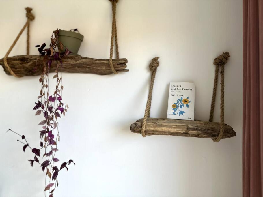 Appartement Cosy Calao - Parking Ferme Gratuit Perpignan Exterior foto