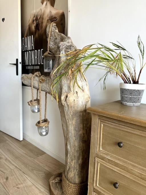 Appartement Cosy Calao - Parking Ferme Gratuit Perpignan Exterior foto