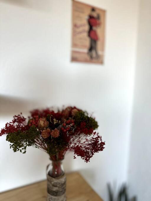 Appartement Cosy Calao - Parking Ferme Gratuit Perpignan Exterior foto