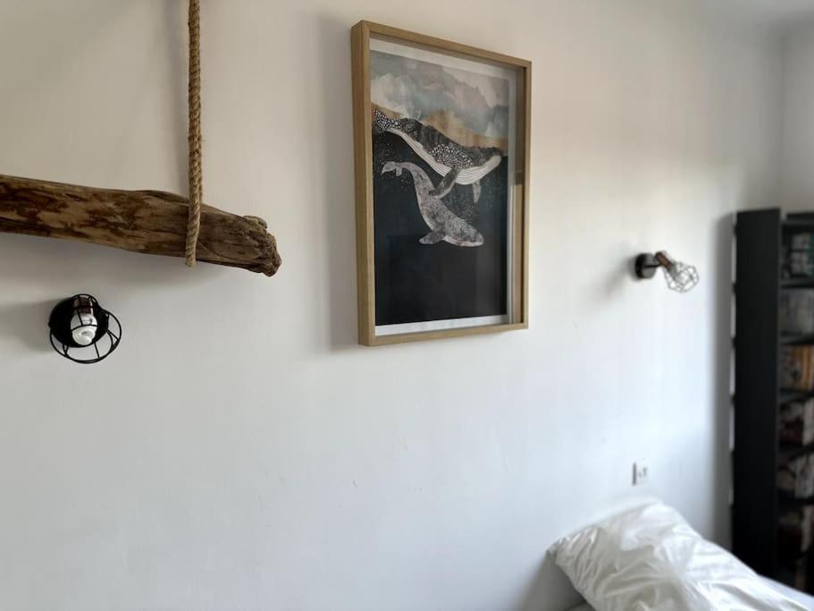 Appartement Cosy Calao - Parking Ferme Gratuit Perpignan Exterior foto